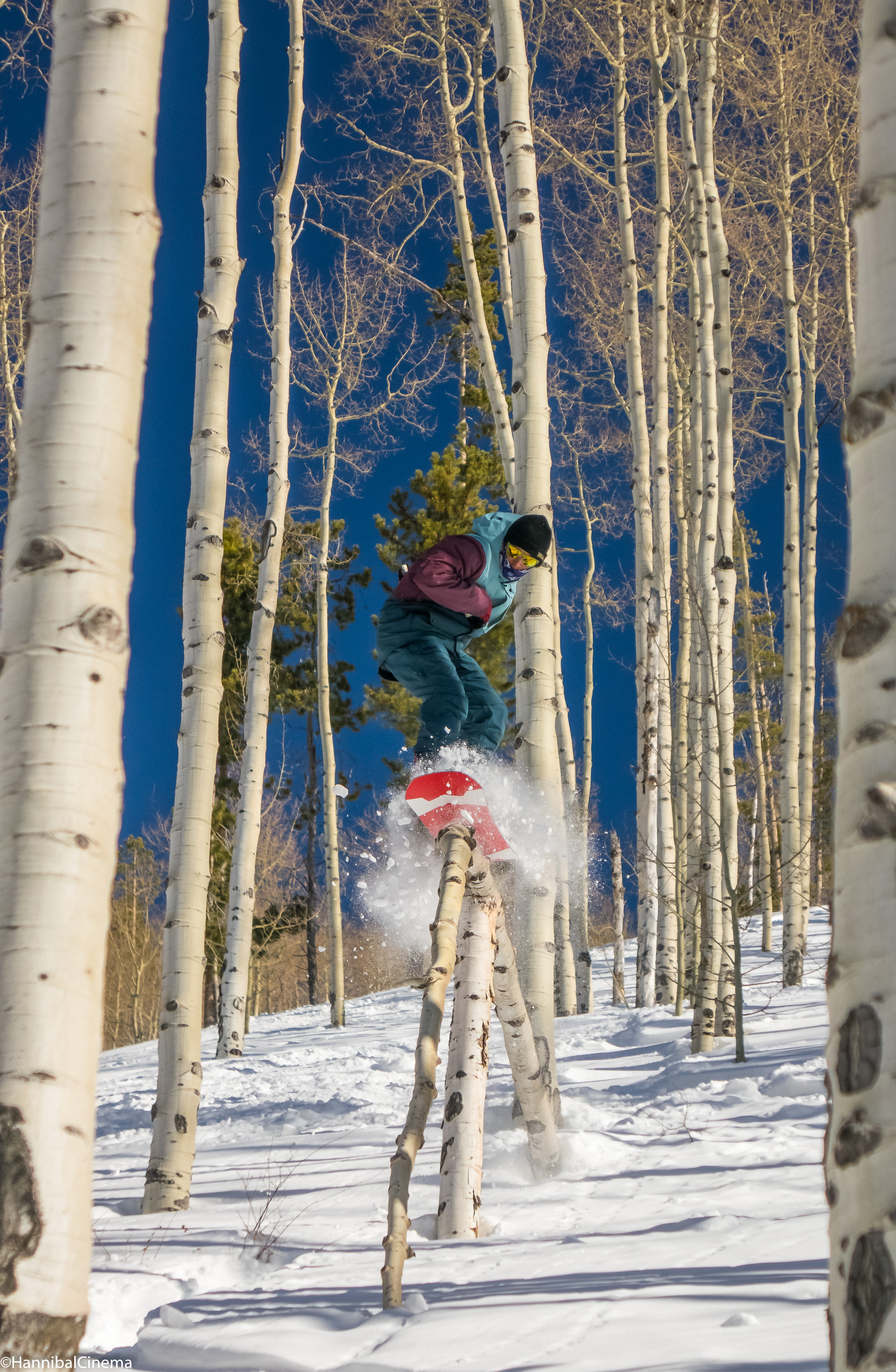 Aspen Powder Run