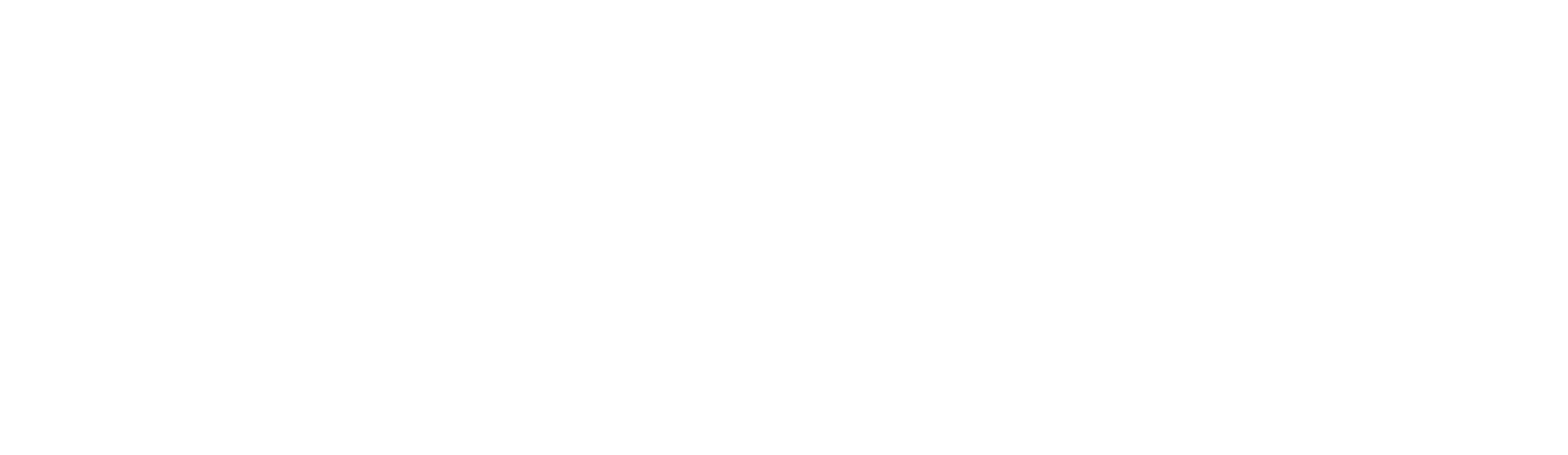 Pronoia BJJ