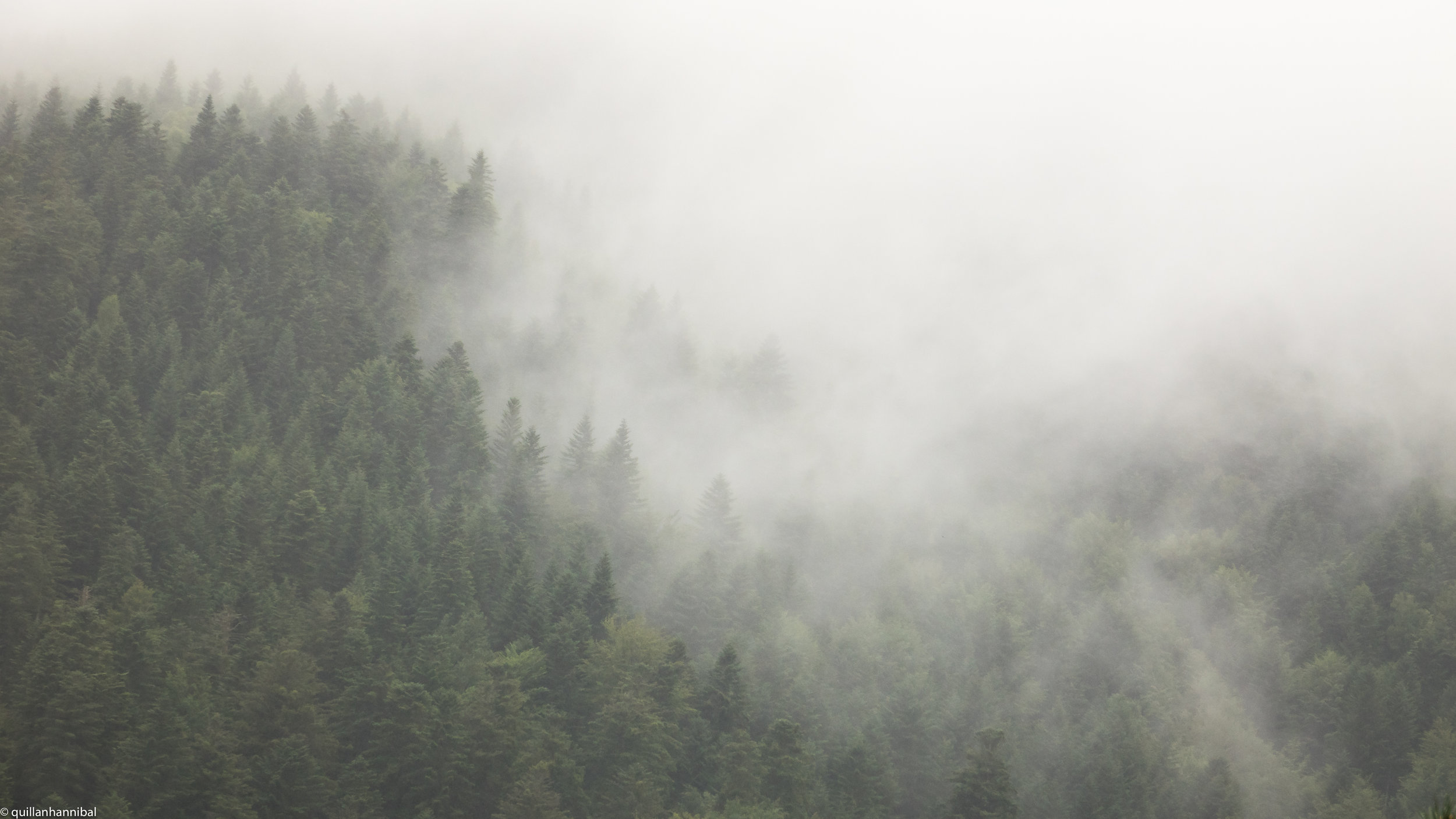 Fog French Alps